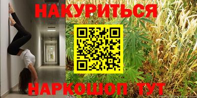 сатива Анапа